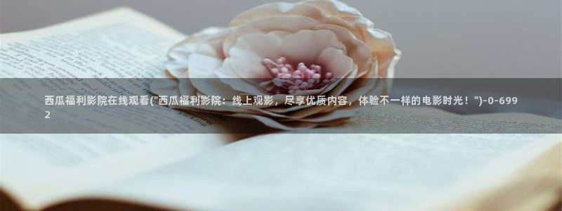 西瓜理论电影网