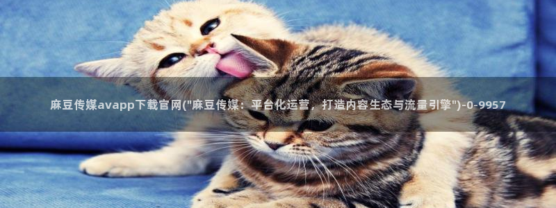 麻豆传媒官网是啥：麻豆传媒avapp下载官网(\