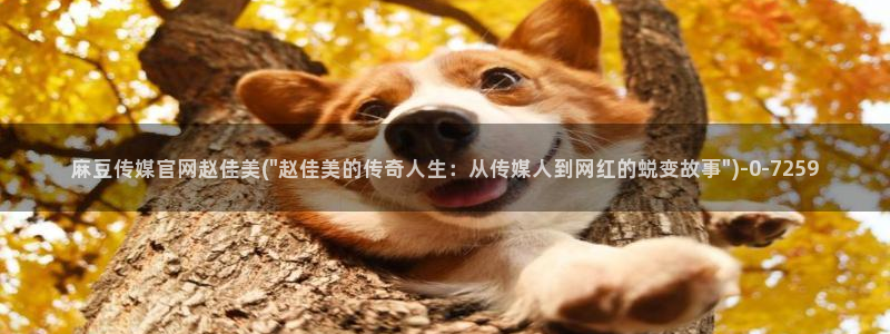 麻豆自传媒 官网：麻豆传媒官网赵佳美(\