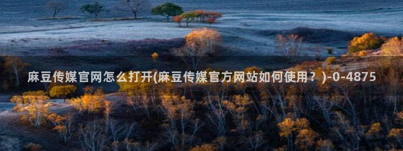 麻豆果冻传媒官网：麻豆传媒官网怎么打开(麻豆传媒官方网站如何使用？)