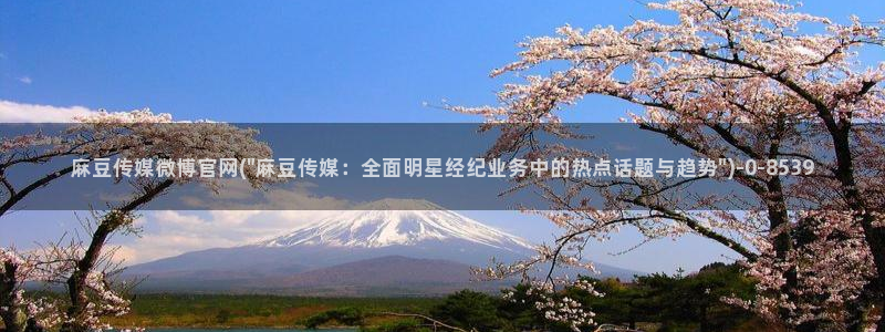 麻麻豆传媒官网：麻豆传媒微博官网(\