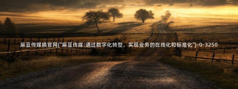 麻豆传媒官网入囗：麻豆传媒换官网(\
