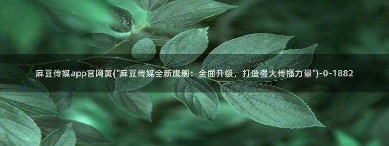 麻豆传媒官网在线免费：麻豆传媒app官网黄(\