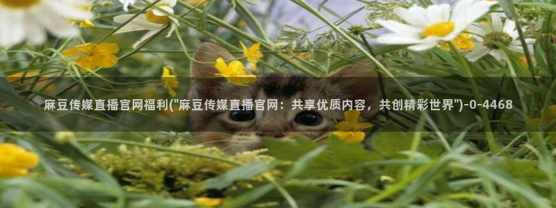 麻豆传媒官网首：麻豆传媒直播官网福利(\