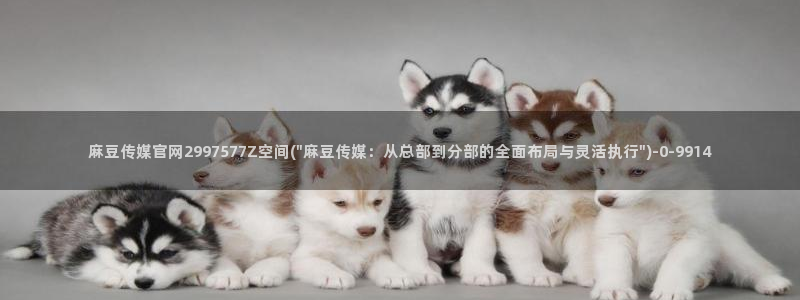 mdpud麻豆传媒官网：麻豆传媒官网2997577Z空间(\