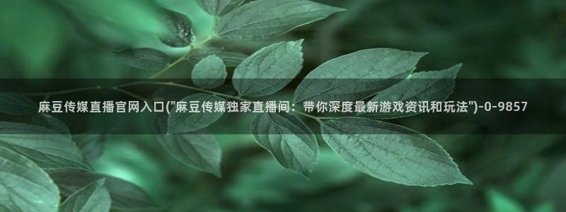 麻豆传媒官网播放：麻豆传媒直播官网入口(\