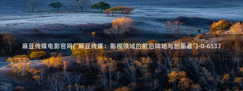 mdpun麻豆传媒官网：麻豆传媒电影官网(\