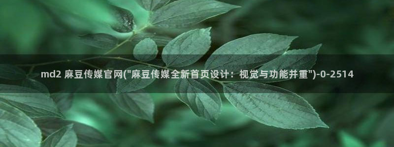 麻豆传媒官网官方：md2 麻豆传媒官网(\