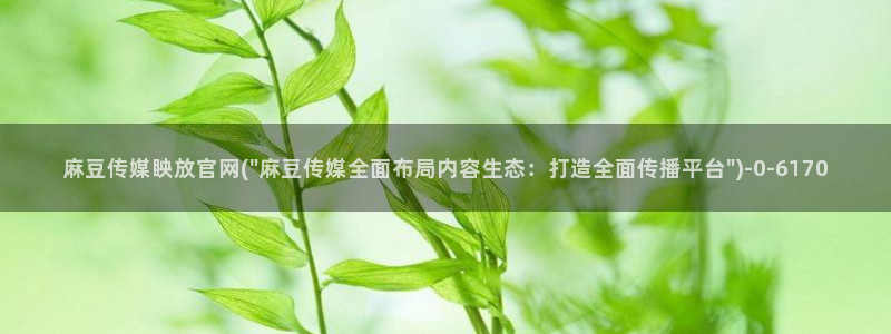91麻豆传媒官网：麻豆传媒眏放官网(\