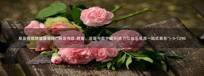 国产之光 麻豆传媒官网：麻豆传媒映画画官网(\