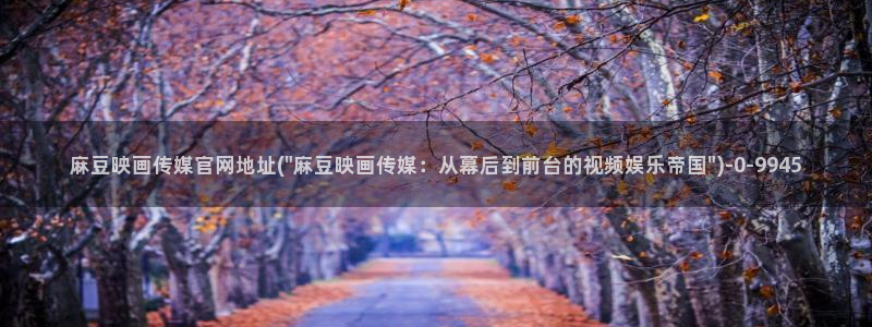 麻豆传媒 官网：麻豆映画传媒官网地址(\