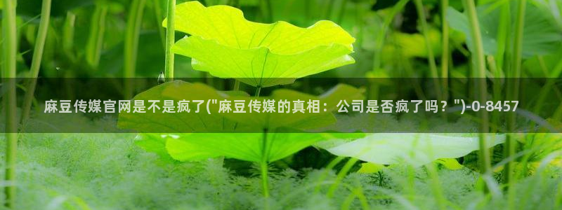 麻豆传媒官网在线观看：麻豆传媒官网是不是疯了(\