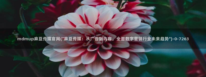 麻豆传媒出品官网：mdmup麻豆传媒官网(\
