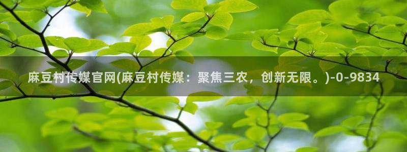 麻豆啊传媒官网在线：麻豆村传媒官网(麻豆村传媒：聚焦三农，创新无限。)