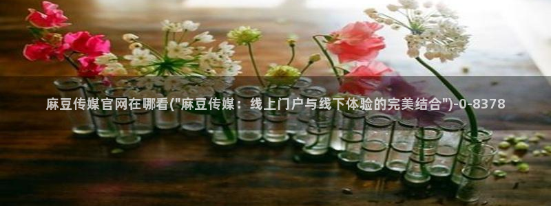 麻豆传媒官网18：麻豆传媒官网在哪看(\