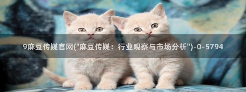 麻豆视传媒官网直：9麻豆传媒官网(\