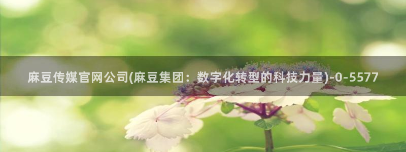 麻豆传媒aqq官网